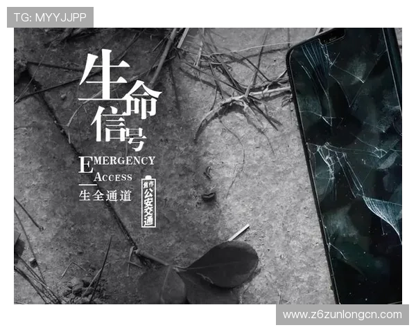 尊龙凯时中国官网最新登录入口及安全指南全面解析